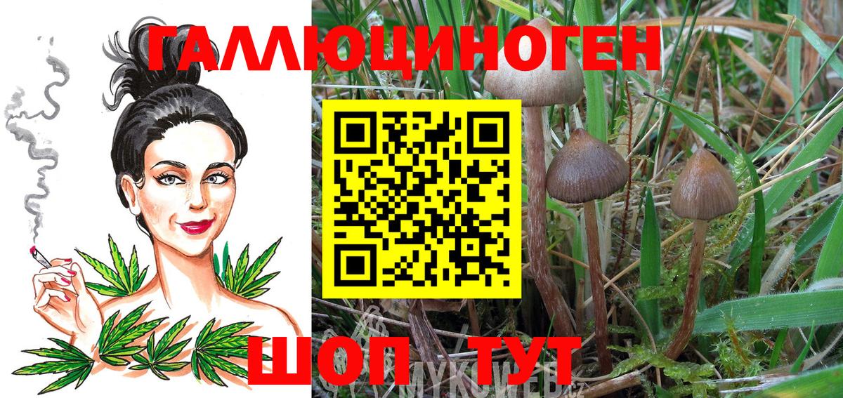 Псилоцибиновые грибы Psilocybe  Галлюциногенные грибы мухоморы  Вход с VPN  Москва 