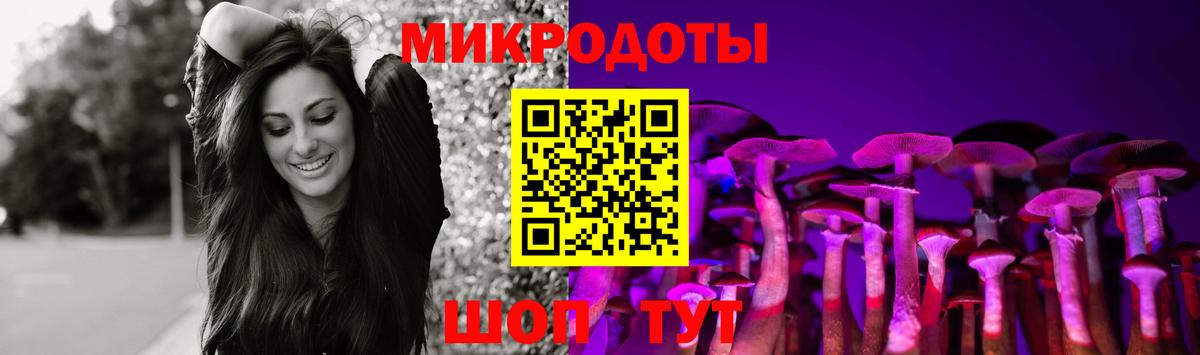 Галлюциногенные грибы Psilocybe Москва