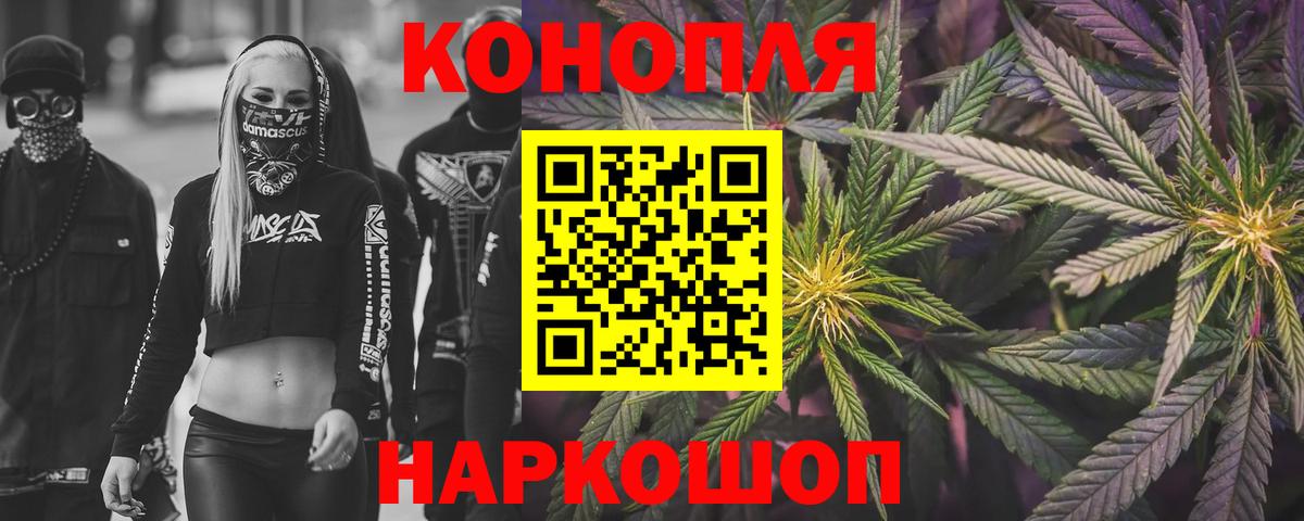 Бошки Шишки конопля Москва